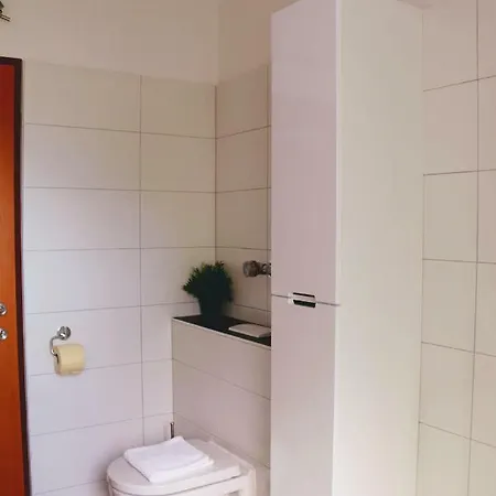 公寓 Green Wall Apartment Kaprun *