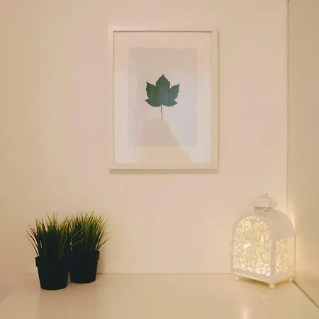 Green Wall Apartment Kaprun Апартаменты Капрун