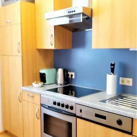 公寓 Green Wall Apartment Kaprun